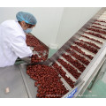 dates palm processing drying machine